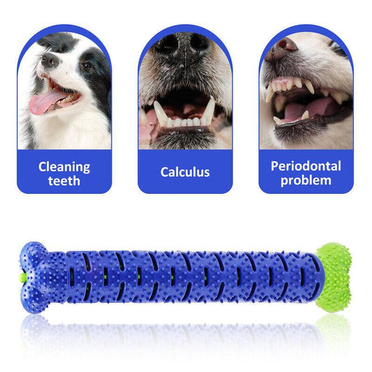 "TPR Dog Toothbrush Chew Toy"