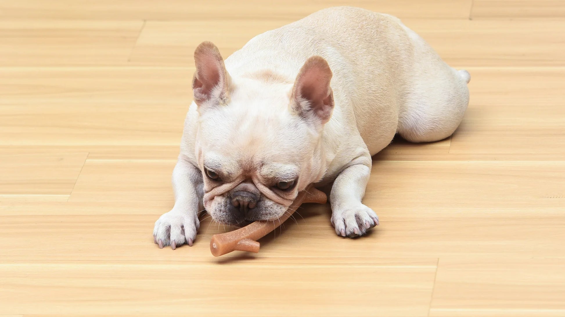 Barkies 8" Real Wood Mix Tree Branch Durable Dental Dog Chew Toy Bacon Flavor