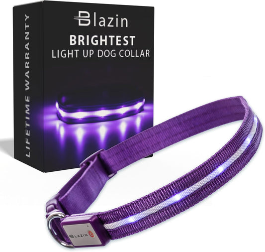 Light up Dog Collar - the Original LED Dog Collar - USB Rechargeable - Waterproof