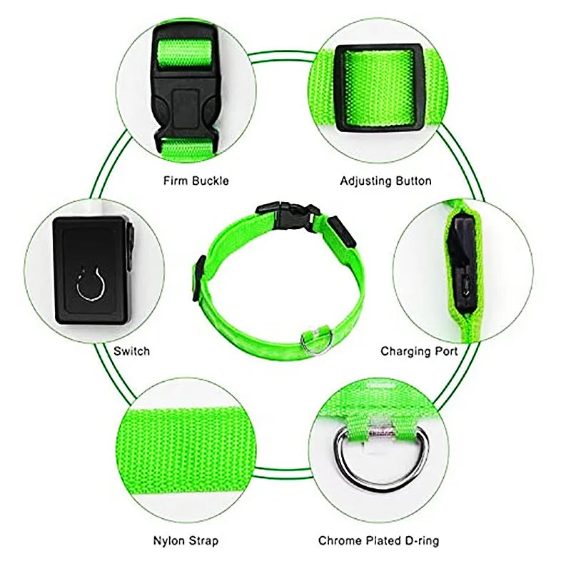 Light-Up LED Dog Collar – Night Glow, Anti-Lost & Rechargeable for Small Dogs