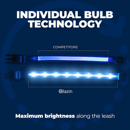 Light up Dog Collar - the Original LED Dog Collar - USB Rechargeable - Waterproof