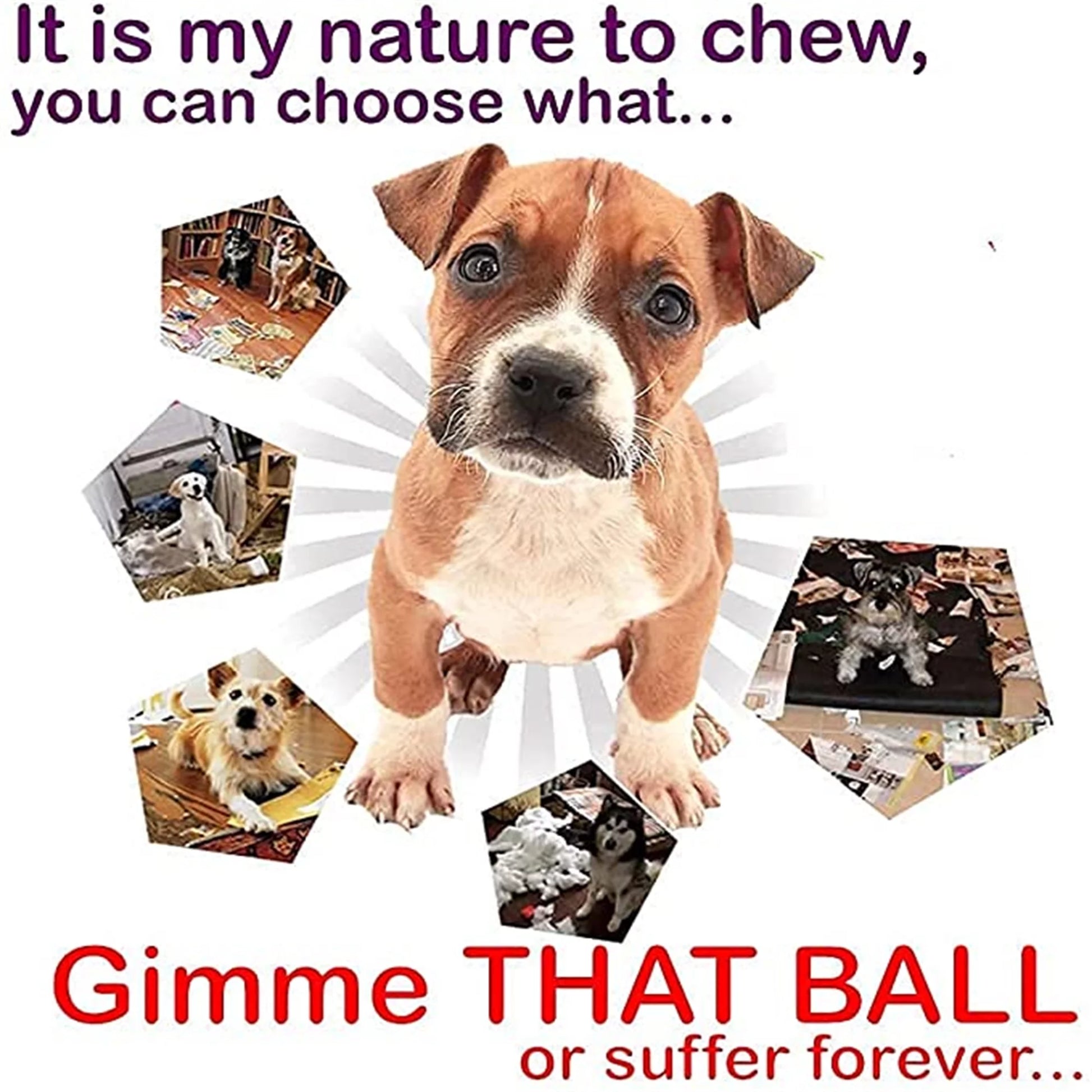 Elasticity Interactive Toothclean Dog Chew Toy