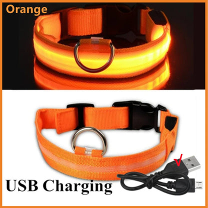 Light-Up LED Dog Collar – Night Glow, Anti-Lost & Rechargeable for Small Dogs