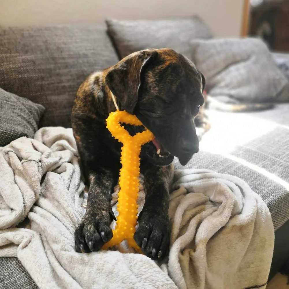 Durable Dog Chew Toys 13 Inch Bone Shape Extra Large Dog Toys 