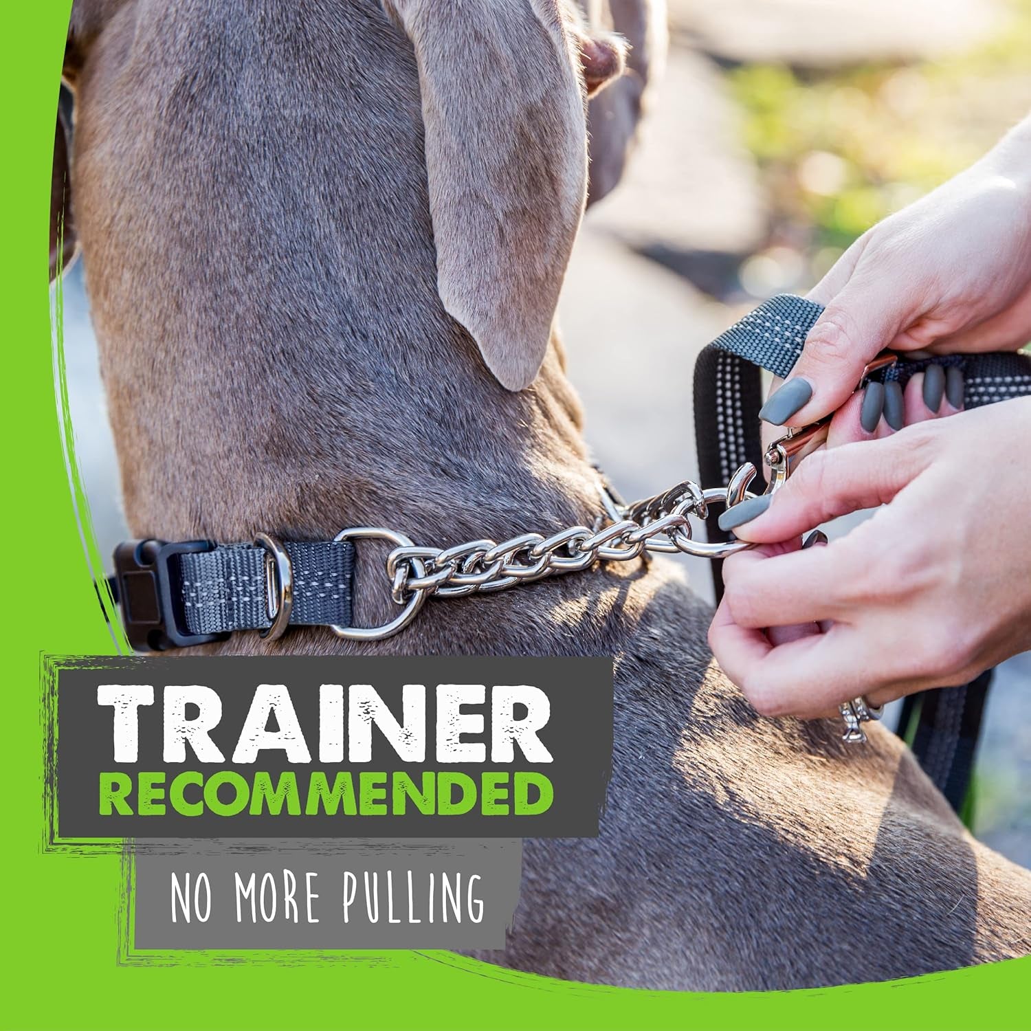Trainer Approved Limited Slip Collar with Stainless Steel Chain & Heavy-Duty Buckle 
