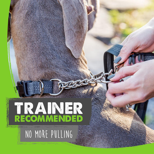 Trainer Approved Limited Slip Collar with Stainless Steel Chain & Heavy-Duty Buckle 