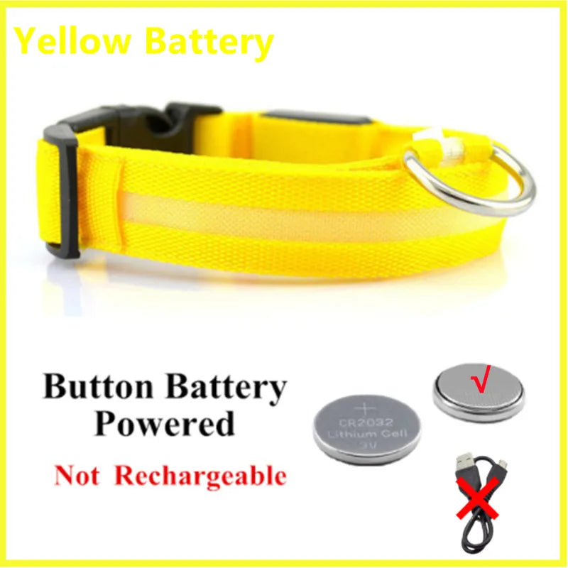 Light-Up LED Dog Collar – Night Glow, Anti-Lost & Rechargeable for Small Dogs