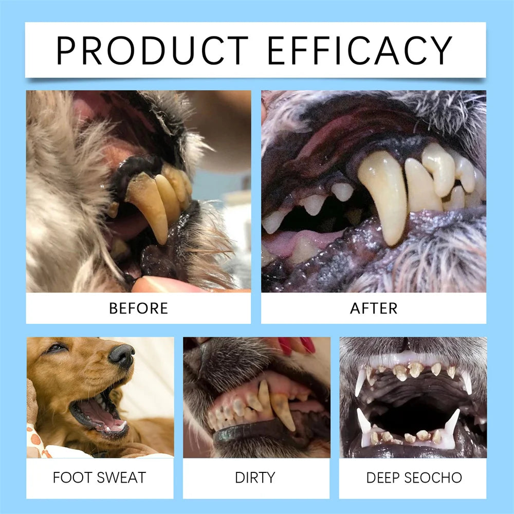 Dog Teeth Cleaning Pen – Tartar Remover & Tooth Stain Cleaner for Dogs