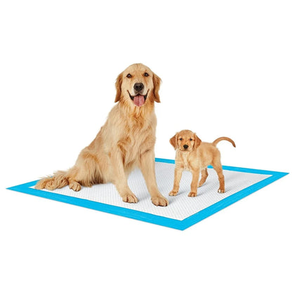 Extra Large Puppy Training Pads 23X36 Inch 300 Count Heavy Absorbency Disposable Pet Potty Pads Dogs Cats Odor Control