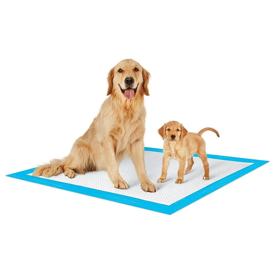 Extra Large Puppy Training Pads 23X36 Inch 300 Count Heavy Absorbency Disposable Pet Potty Pads Dogs Cats Odor Control