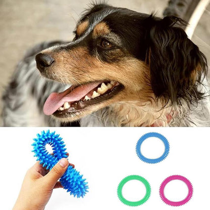 Mintique Soft Rubber Pet Chew Rings – 2-Pack Dental Toys for Healthy Teeth & Gums