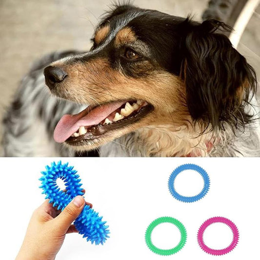 Mintique Soft Rubber Pet Chew Rings – 2-Pack Dental Toys for Healthy Teeth & Gums