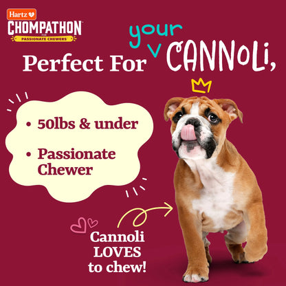 Chompathon Gripper Bone, Nylon, Tough Dog Chew Toy