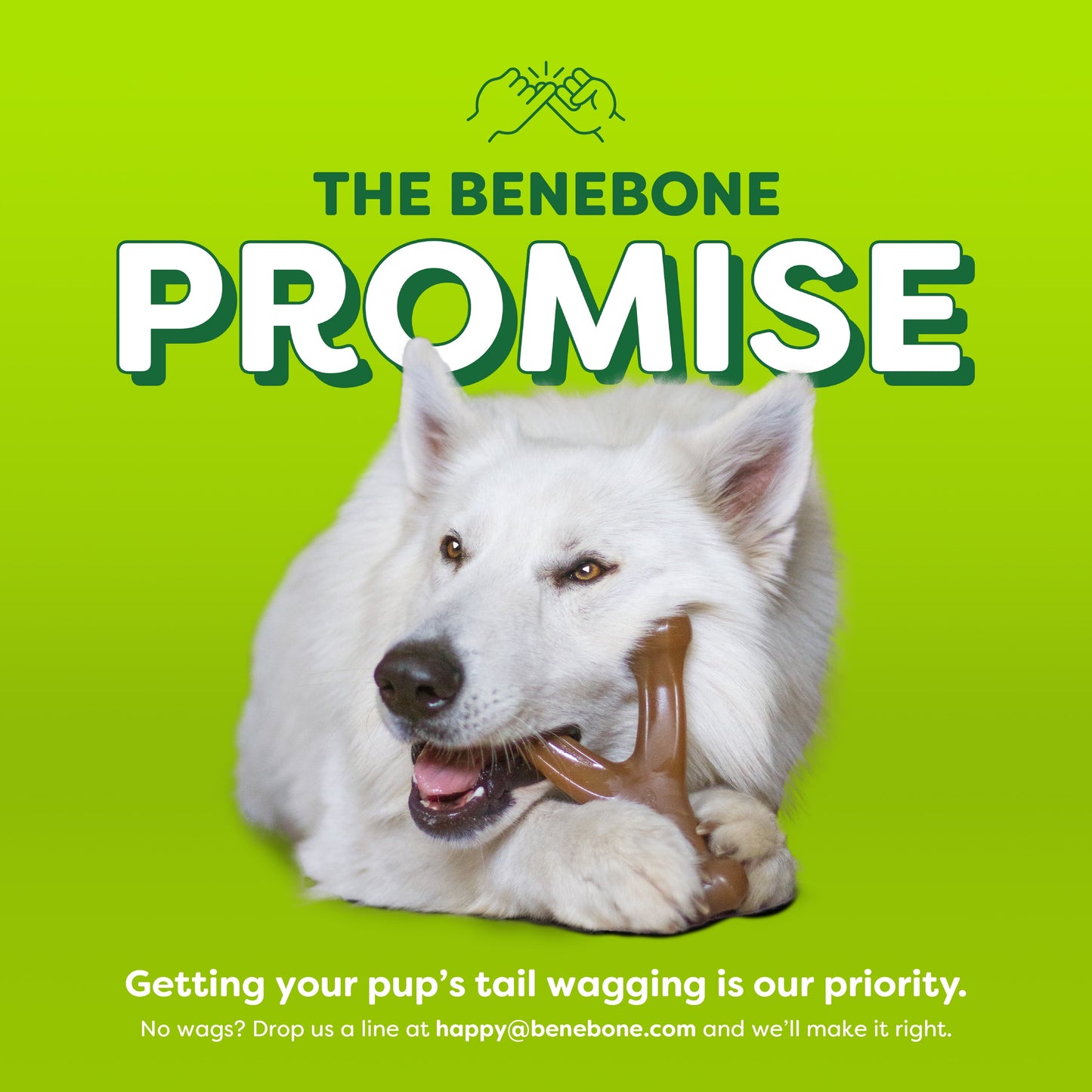 Essentials Wishbone Bacon M/L