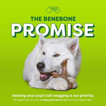 Essentials Wishbone Bacon M/L