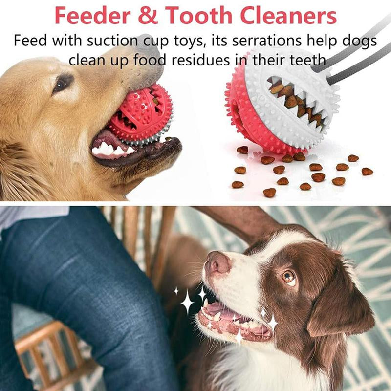Dog Chew Toy Ball with Suction Cup, Puppy Teeth Chewing Toy