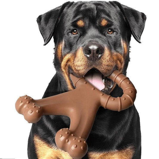 Durable Beef-Flavored Dog Chew Toy – Teeth Cleaning & Interactive Fun