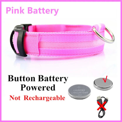 Light-Up LED Dog Collar – Night Glow, Anti-Lost & Rechargeable for Small Dogs
