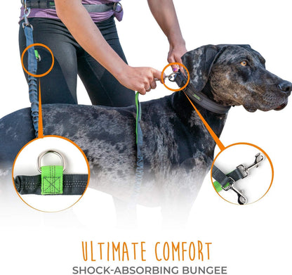 Hands Free Dog Leash | Bungee Waist Leash for Dog Walking.