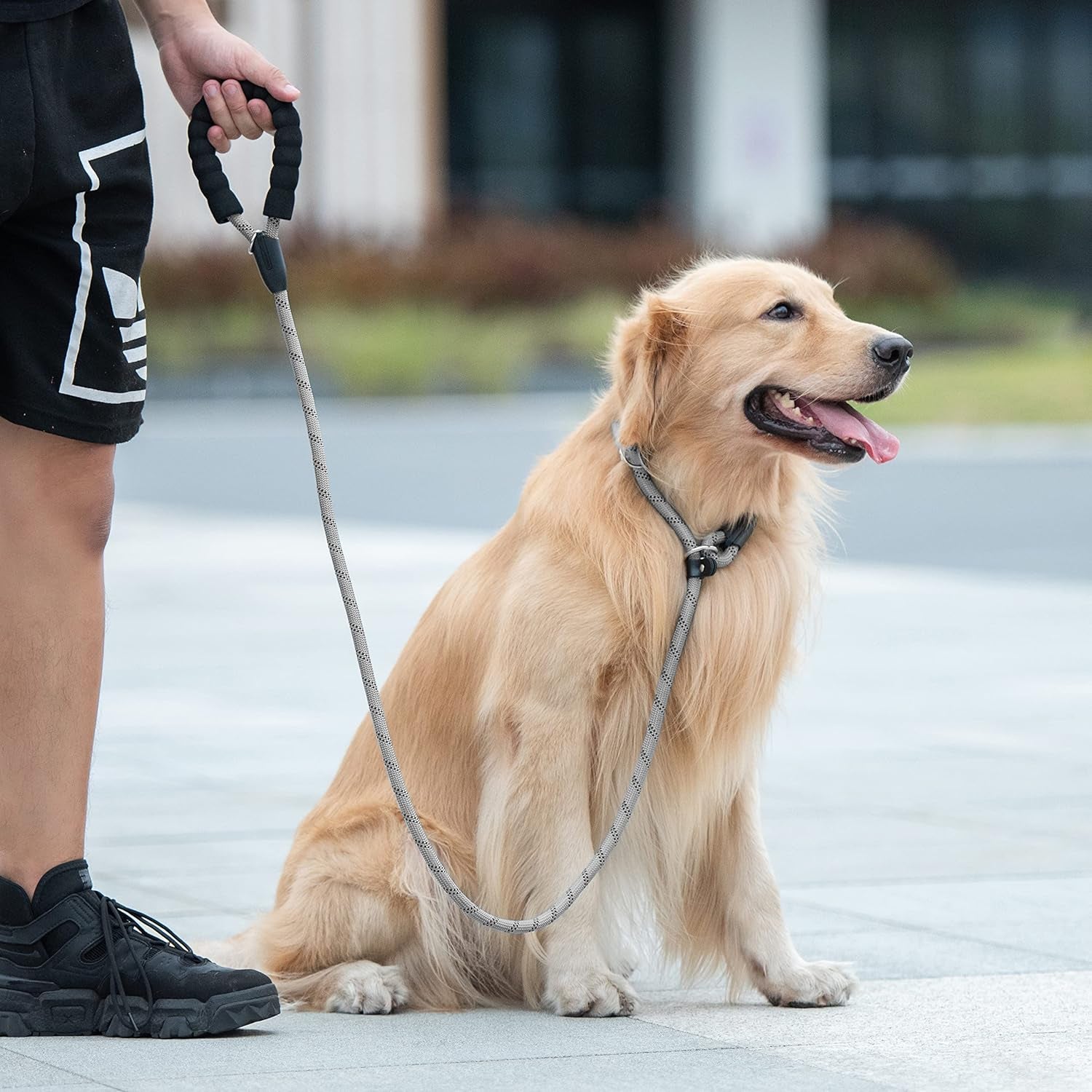 Durable Slip Lead Dog Leash with Padded Handle and Highly Reflective Threads
