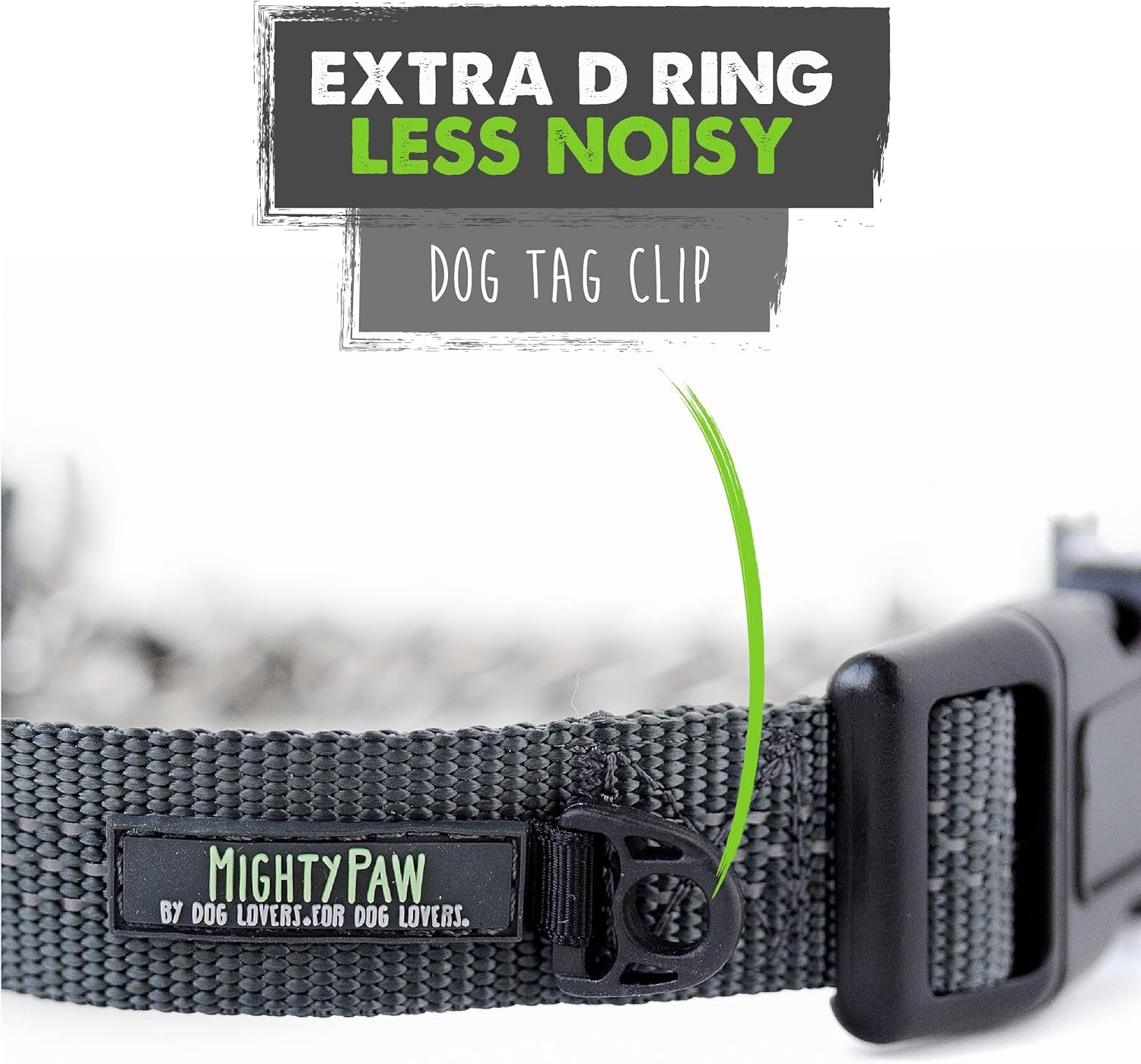 Trainer Approved Limited Slip Collar with Stainless Steel Chain & Heavy-Duty Buckle 