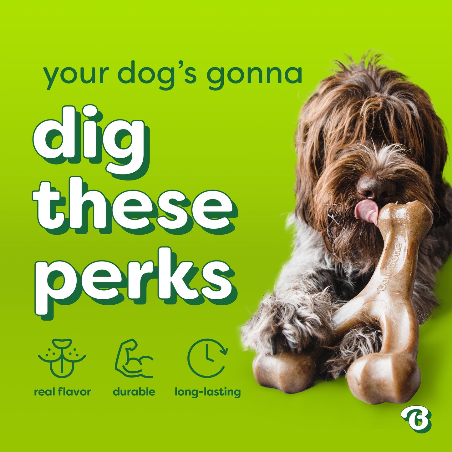 Essentials Wishbone Bacon M/L