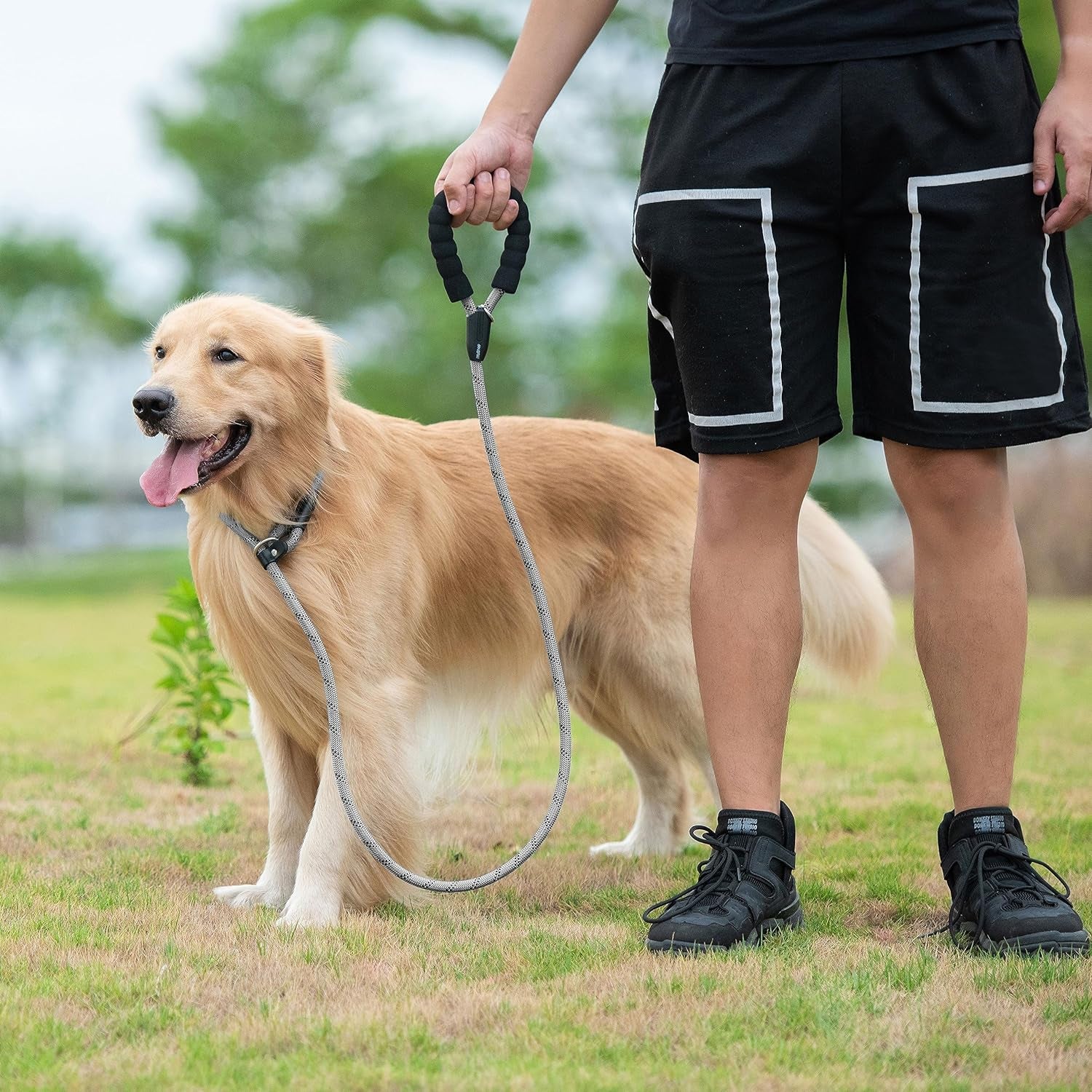 Durable Slip Lead Dog Leash with Padded Handle and Highly Reflective Threads