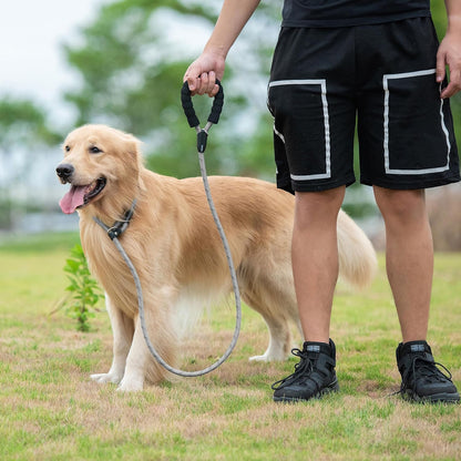 Durable Slip Lead Dog Leash with Padded Handle and Highly Reflective Threads