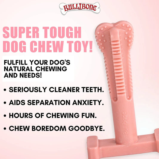 Durable Peppermint Dog Superbrush Chew Toy, Large Size, Dental Hygiene