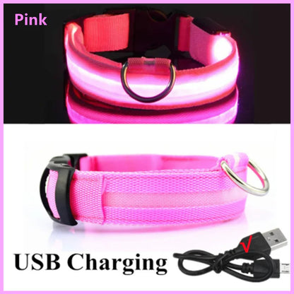 Light-Up LED Dog Collar – Night Glow, Anti-Lost & Rechargeable for Small Dogs