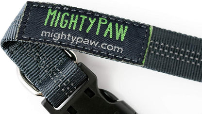 Hands Free Dog Leash | Bungee Waist Leash for Dog Walking.