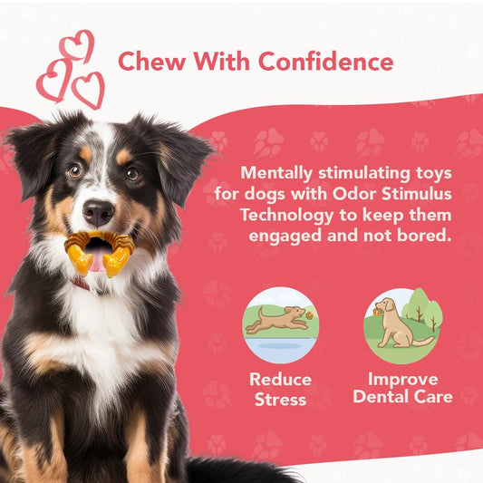Rethink Pet Bacon Scented Dental Munch Ring Chew Toy for Healthy Teeth and Gums