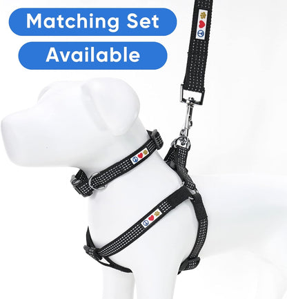  Reflective Dog Leash for the puppy puppies and the little dogs breeds