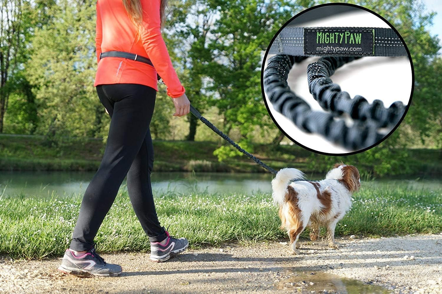 Hands Free Dog Leash | Bungee Waist Leash for Dog Walking.