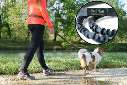 Hands Free Dog Leash | Bungee Waist Leash for Dog Walking.