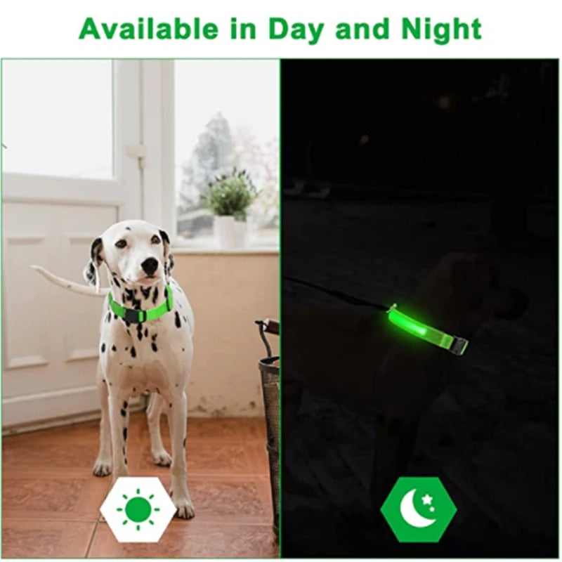 Light-Up LED Dog Collar – Night Glow, Anti-Lost & Rechargeable for Small Dogs