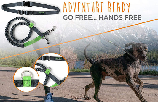 Hands Free Dog Leash | Bungee Waist Leash for Dog Walking.