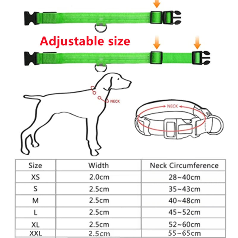 Light-Up LED Dog Collar – Night Glow, Anti-Lost & Rechargeable for Small Dogs
