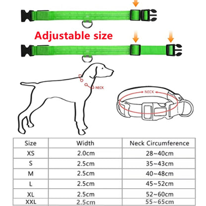 Light-Up LED Dog Collar – Night Glow, Anti-Lost & Rechargeable for Small Dogs