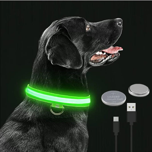 Light-Up LED Dog Collar – Night Glow, Anti-Lost & Rechargeable for Small Dogs