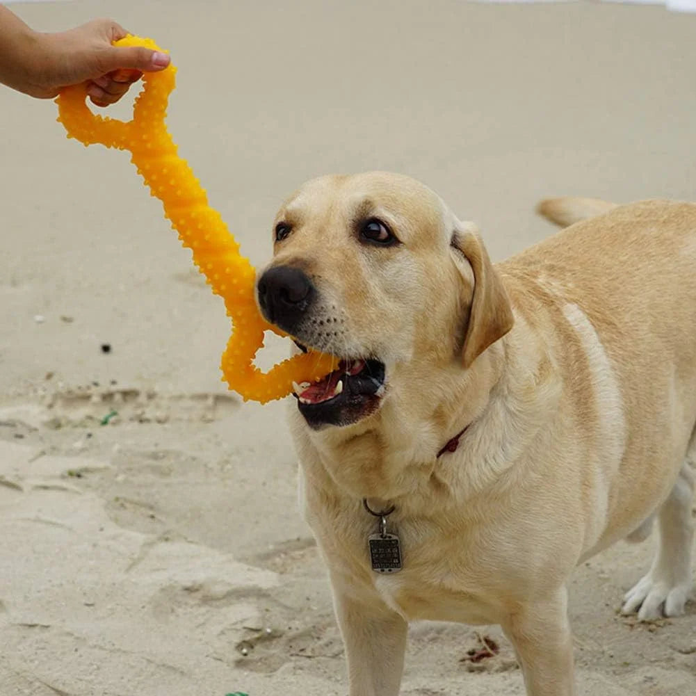 Durable Dog Chew Toys 13 Inch Bone Shape Extra Large Dog Toys 