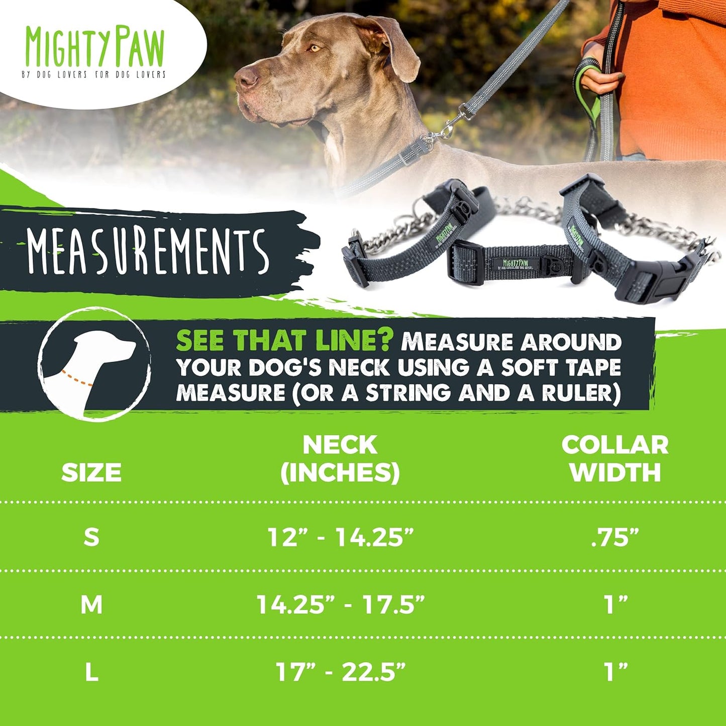 Trainer Approved Limited Slip Collar with Stainless Steel Chain & Heavy-Duty Buckle 