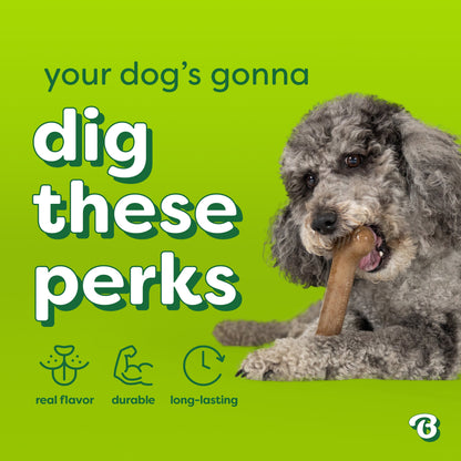 Essentials Bone Bacon M/L