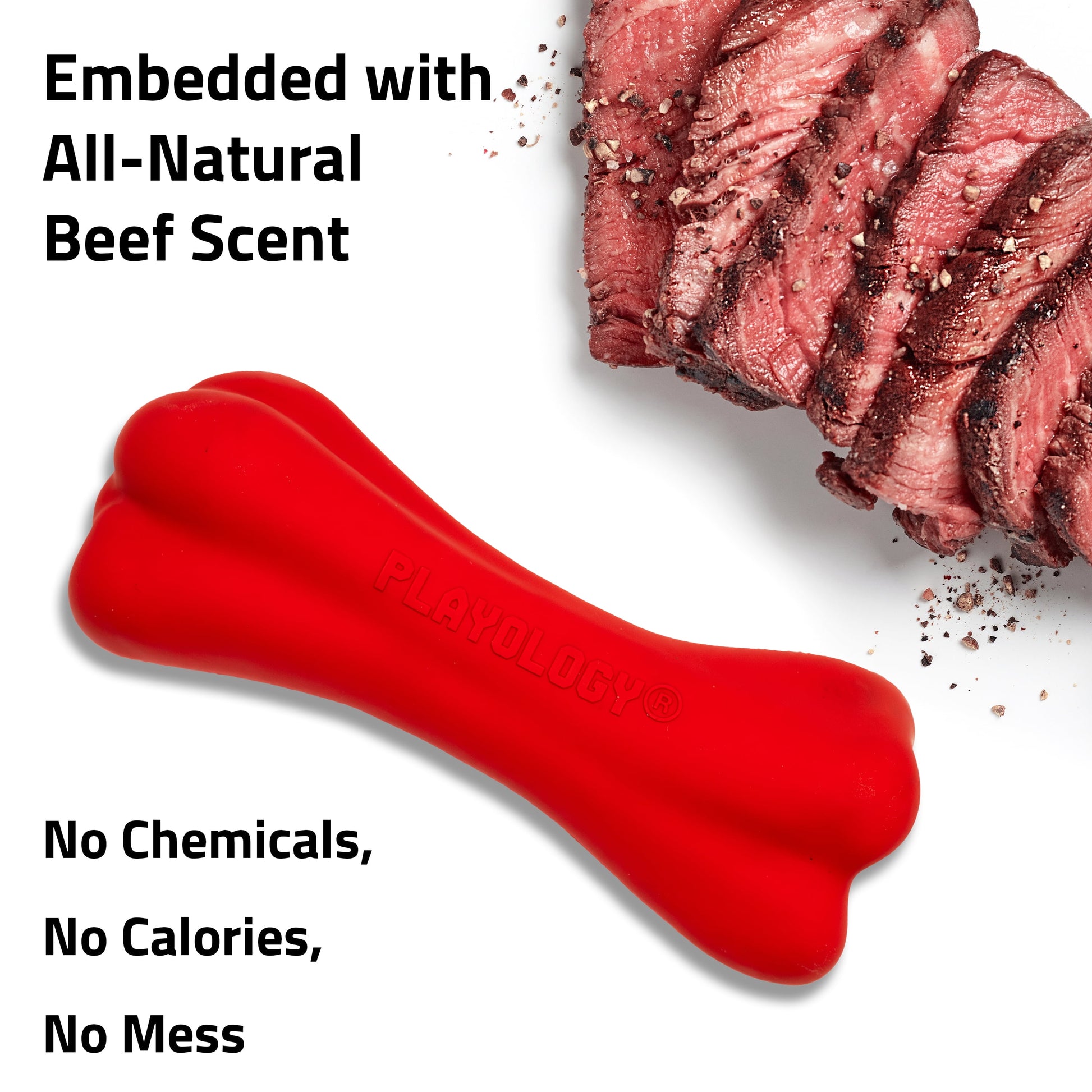 Play by  Dog Toys | Interactive Dog Toy Bone | Scented Crunchy Bone, Large