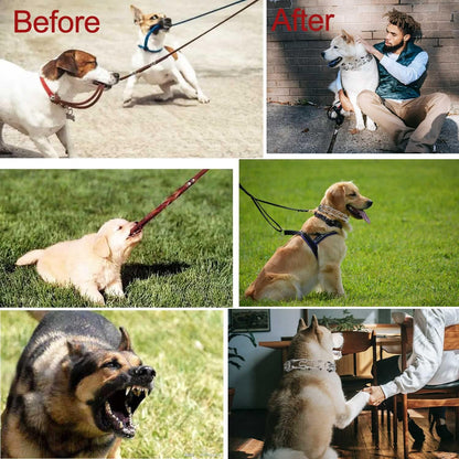 Durable Pinch Collar Stainless Steel Dog Adjustable Pet Training Collar for Medium Large Dogs (Medium (Pack of 1), Silver)