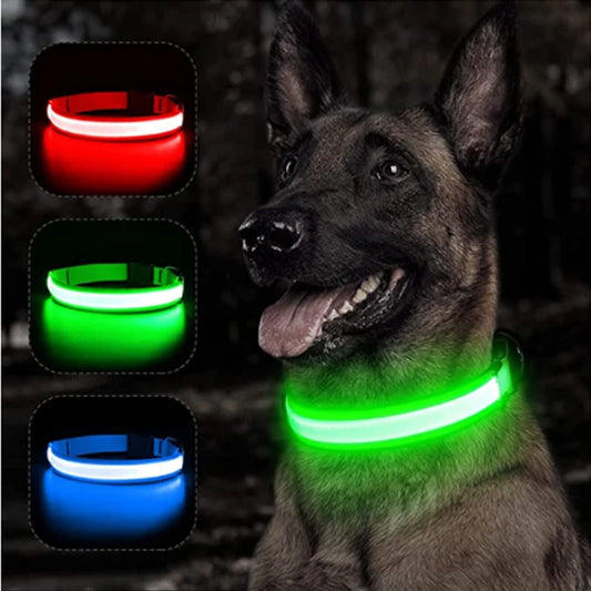 Light-Up LED Dog Collar – Night Glow, Anti-Lost & Rechargeable for Small Dogs