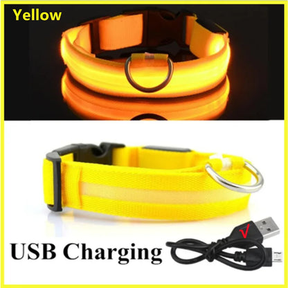 Light-Up LED Dog Collar – Night Glow, Anti-Lost & Rechargeable for Small Dogs