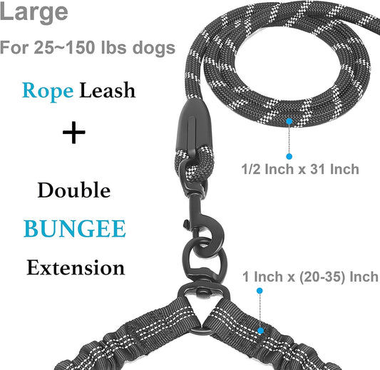 Shock Absorbing Bungee for Two Dogs (Large, 25-150 Lbs, Black)