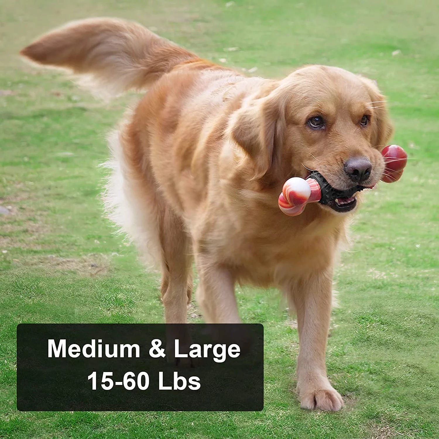 Dog Toys for Aggressive Chewers Bone Dog Toy Interactive Dog