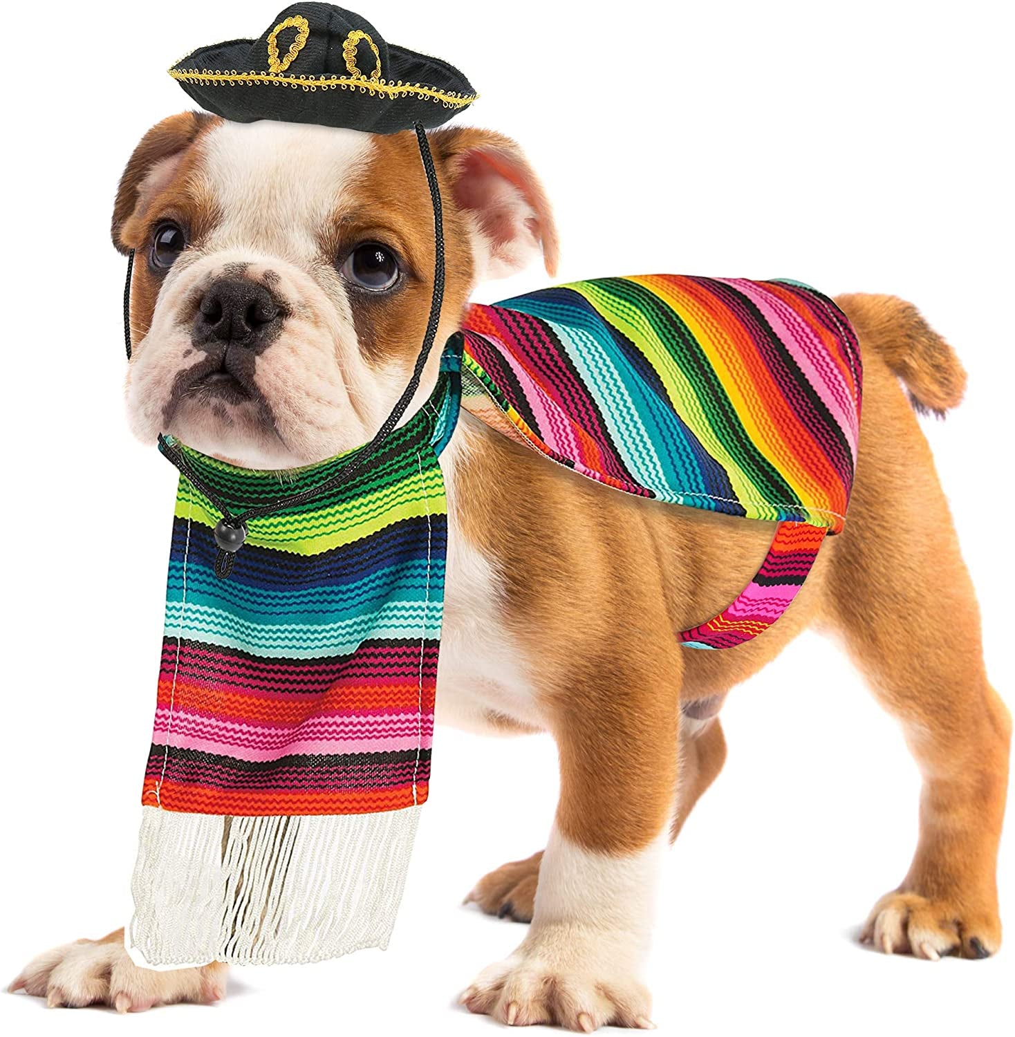 Mexican Serape Dog Costume - Cinco De Mayo Poncho and Sombrero Costumes for Pets (Size L)